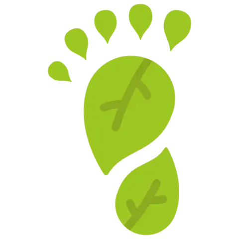 carbon footprint